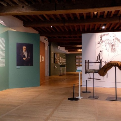 Scénographie A. Duperret. © Musée Basque et de l’histoire de Bayonne – Baionako Euskal Museoa