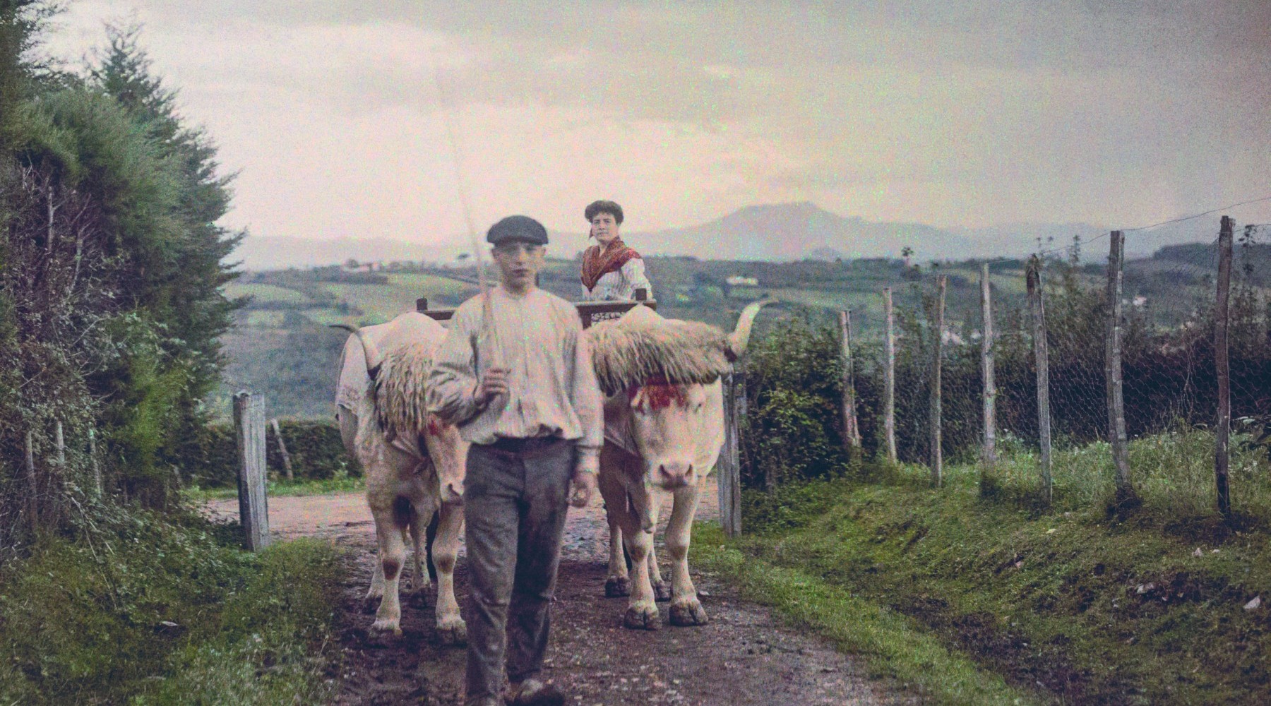 Le Pays Basque en couleurs