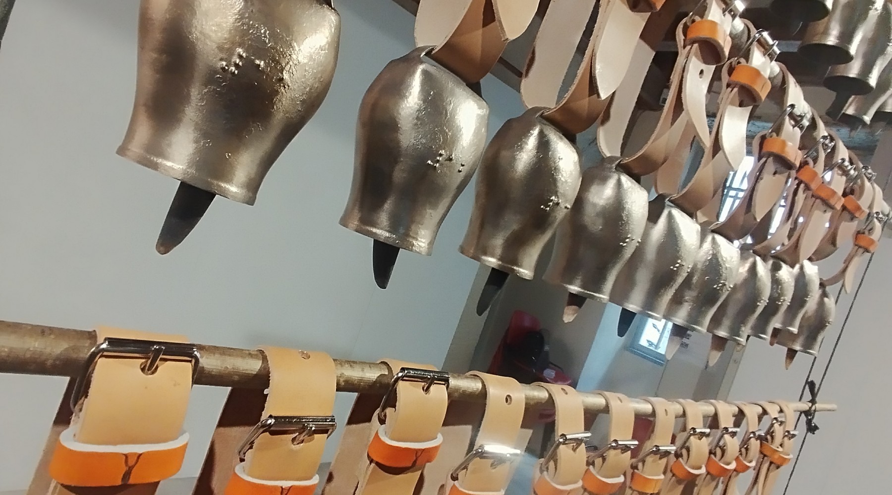 Museoa urtu