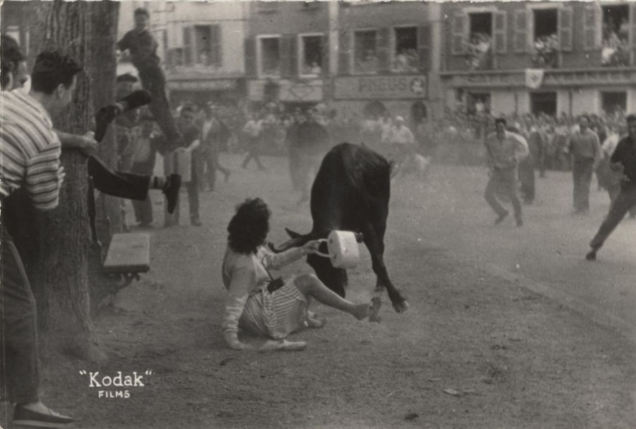  PH.62.14.6 Auguste Aubert  Courses de vaches aux fêtes de Bayonne  Tirage photographique noir et blanc 1959