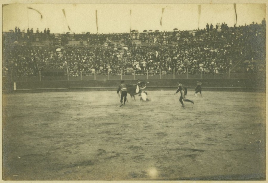 E.4376.2 Bayonne – Corrida dans les arènes Gélatino-bromure d’argent 1895